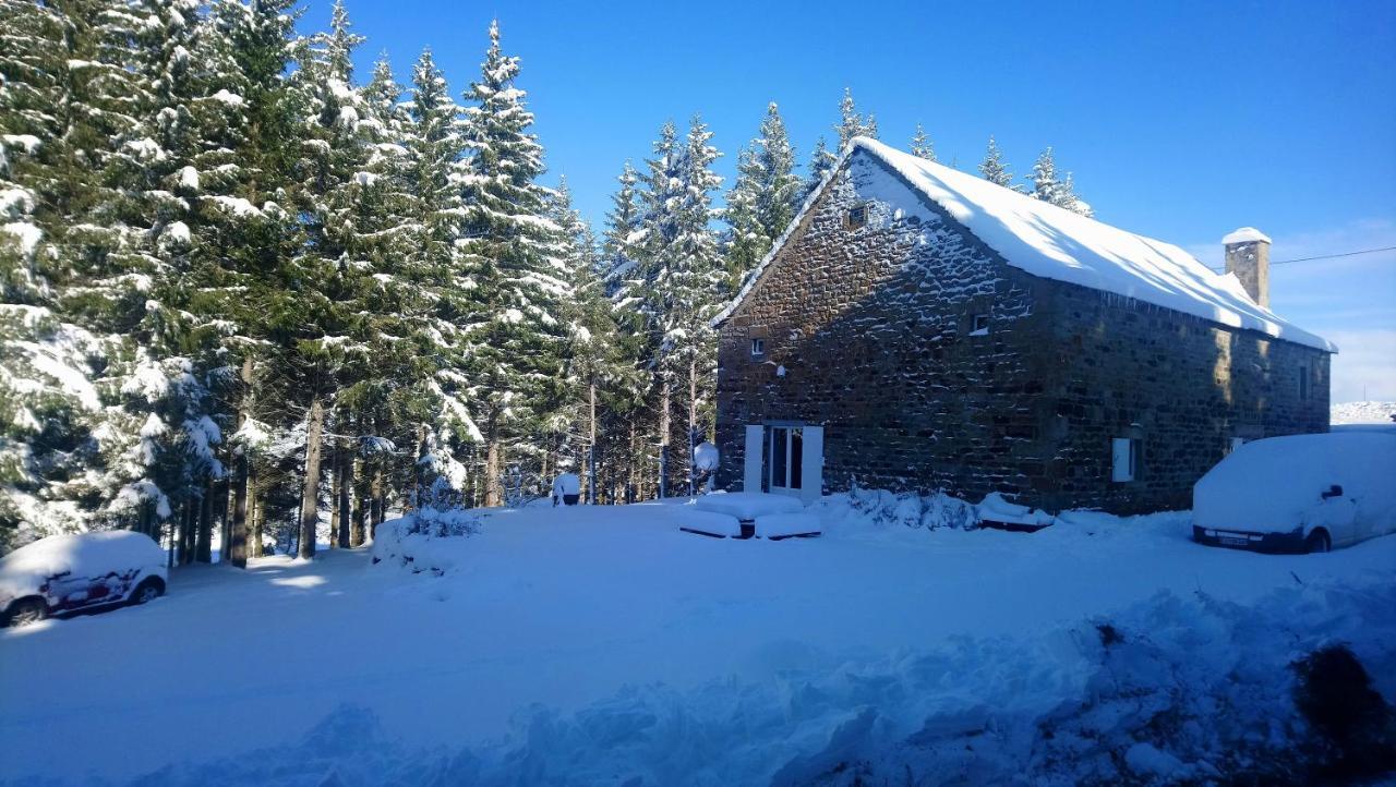 La Ferme Du Crie Bed & Breakfast Chaudeyrolles Eksteriør bilde